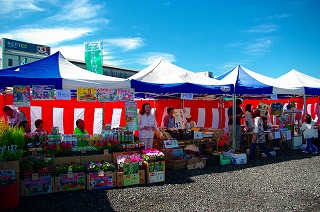 Photo_22