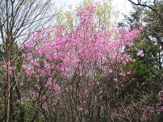 Photo_17