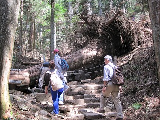 Photo_20
