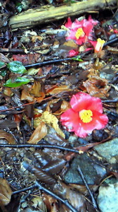 201104091402000_2