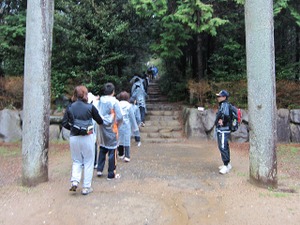 Img_0331_2