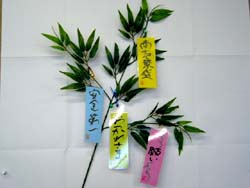 Photo_22