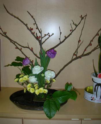 Photo_46